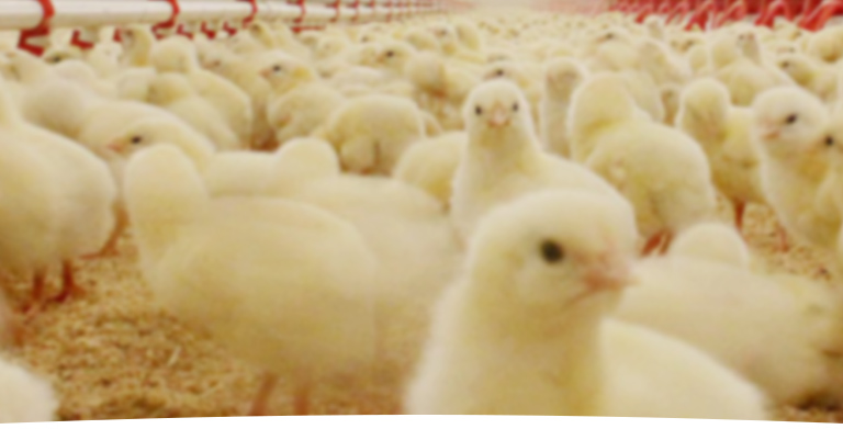 57f671e5b0abcf273aa5d1209d2b83b9