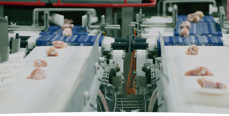 8119c632007297d65d992a710ef5cc97