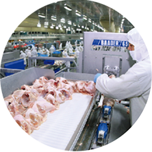 bce5384045c93931918030e7c086b0cb