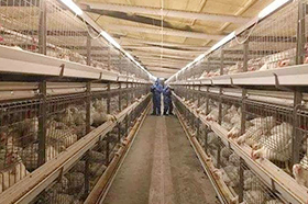 329f8ba76314738980b5a6adac809120