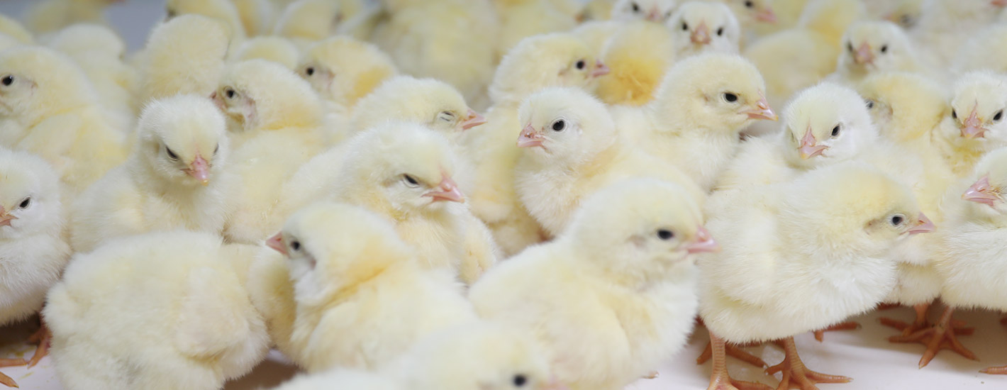 843be404002b6200922c6d5c9f1f946c